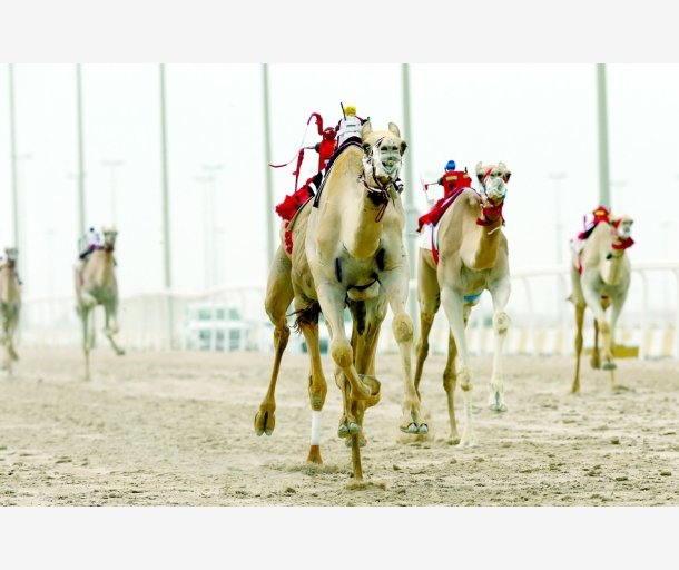 alarab