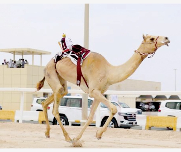 alarab