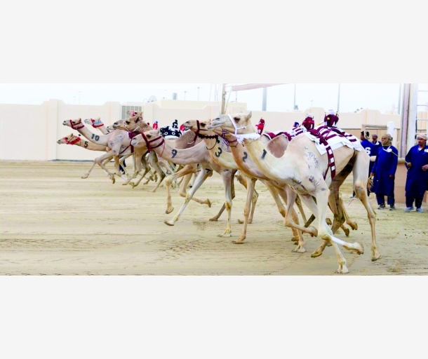 alarab