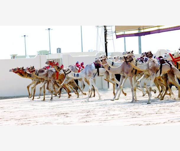 alarab