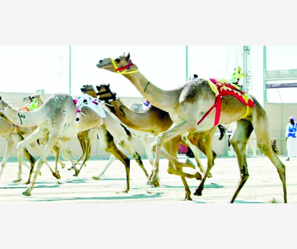 alarab