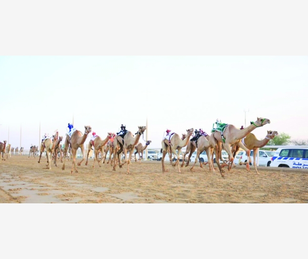alarab
