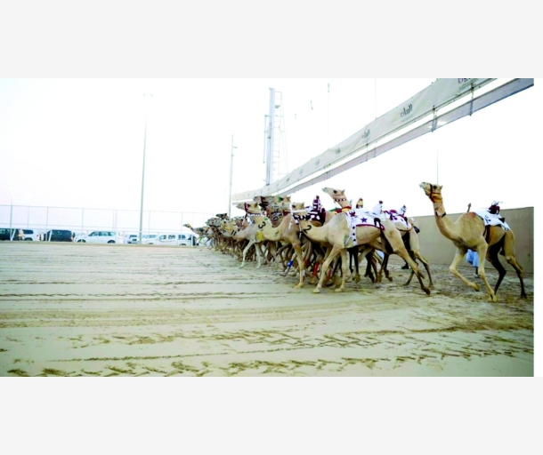 alarab