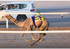 alarab