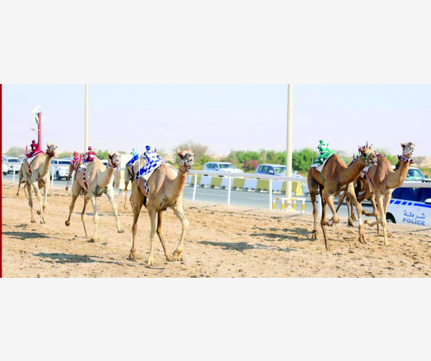 alarab