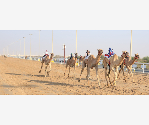 alarab