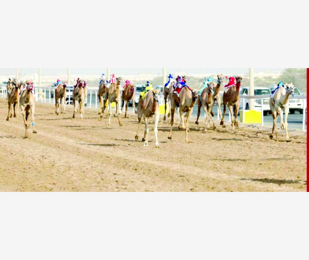 alarab