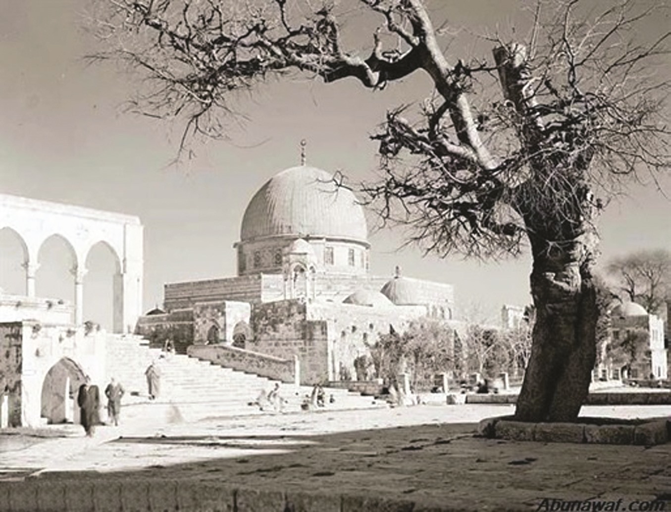 alarab