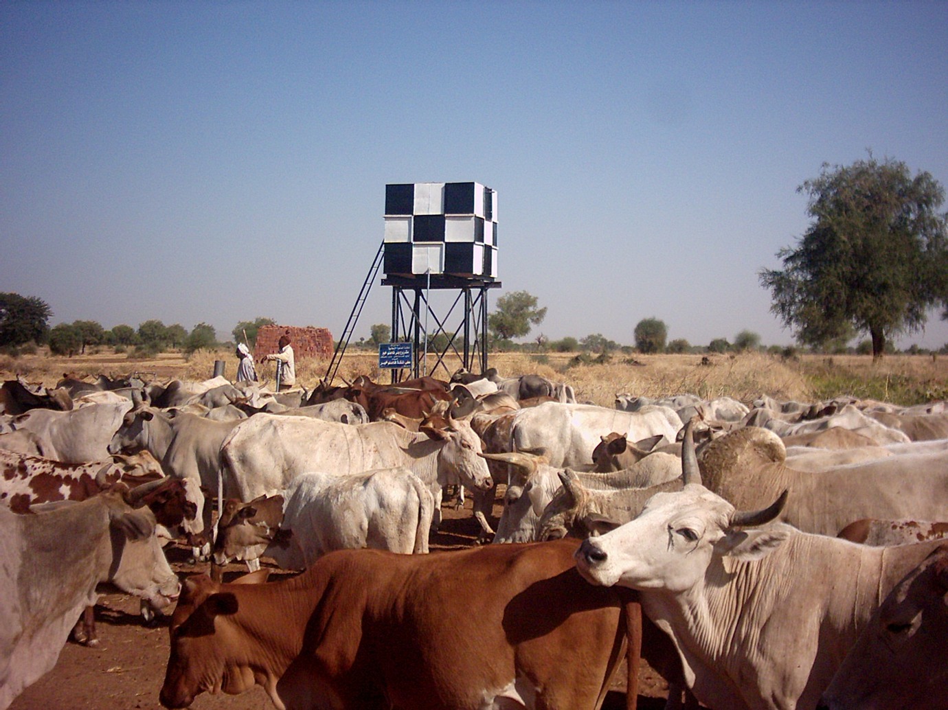 alarab