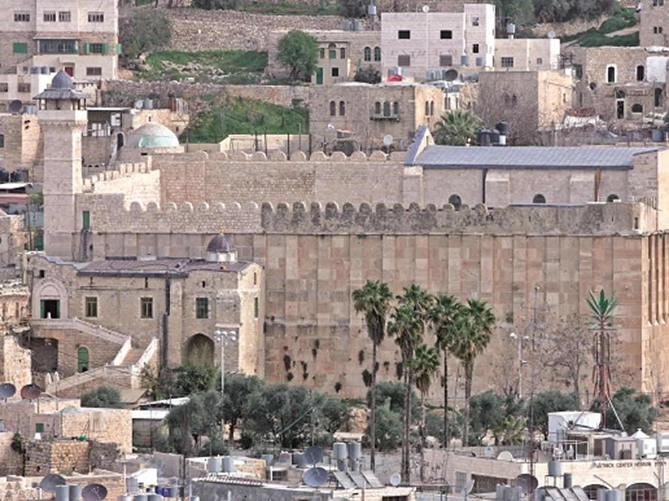 alarab