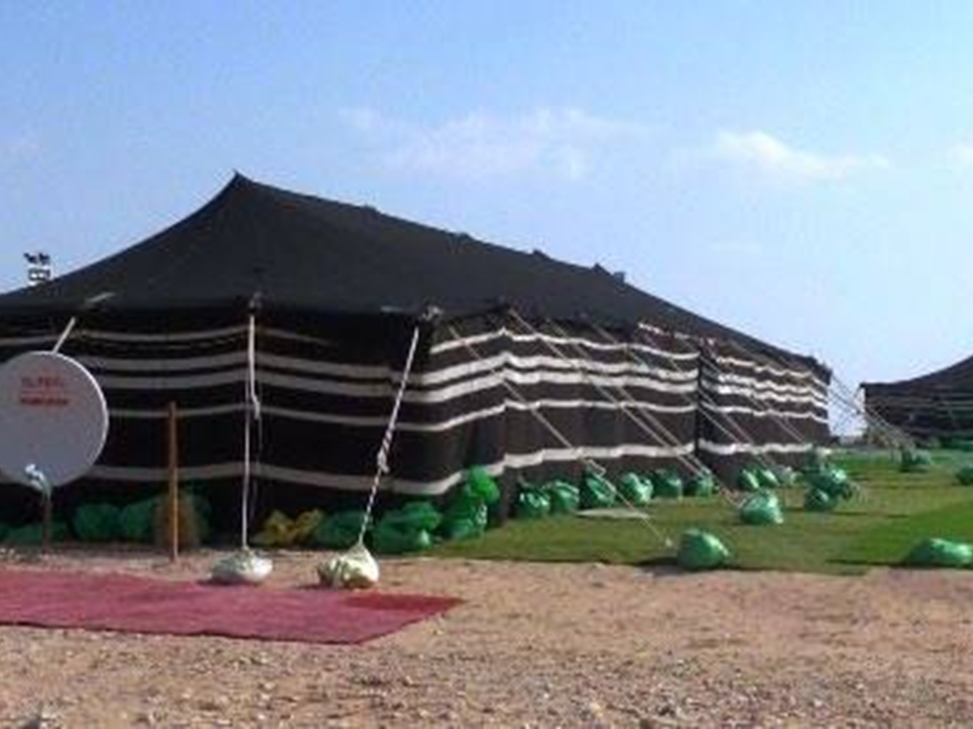 alarab
