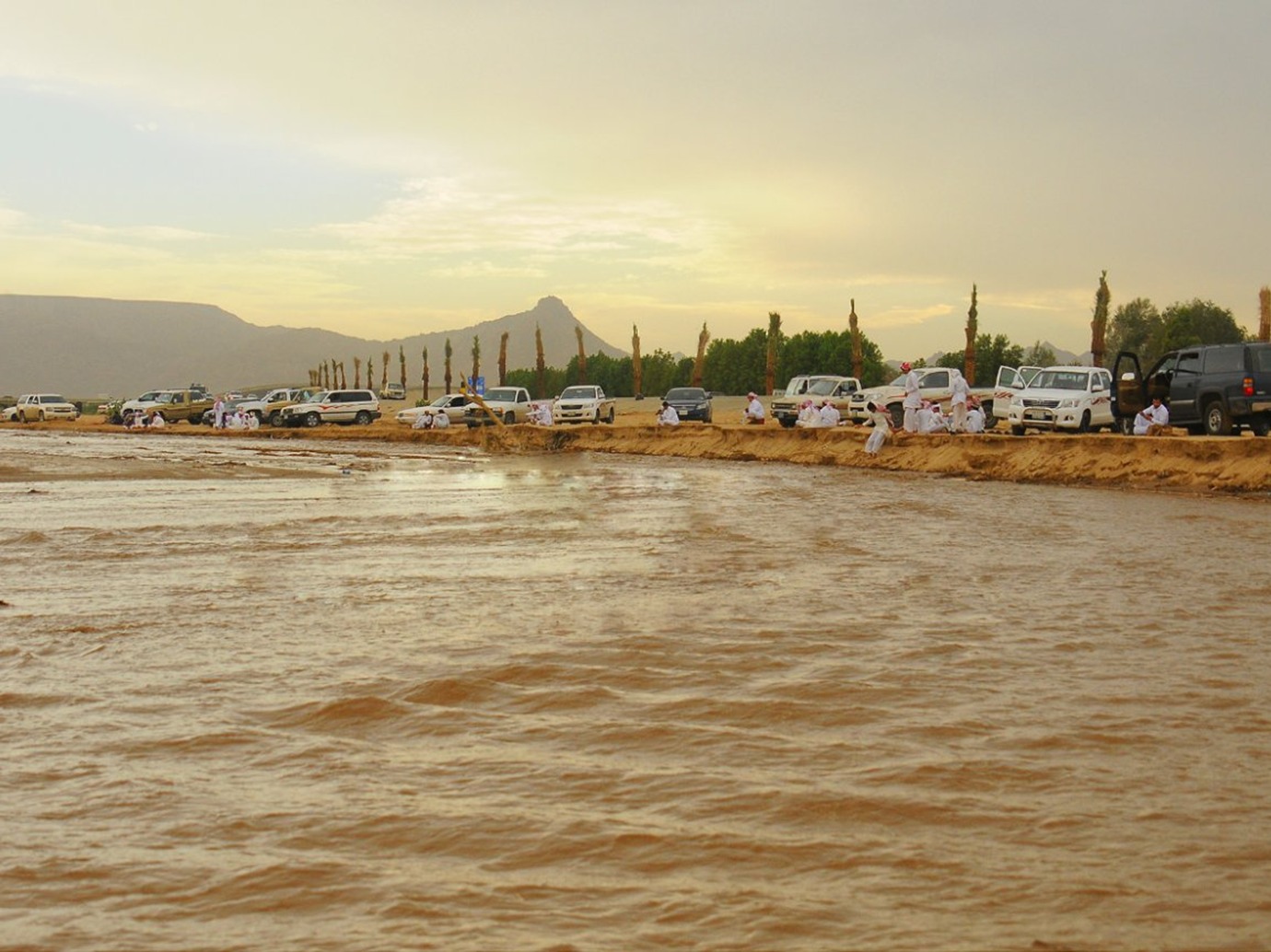 alarab