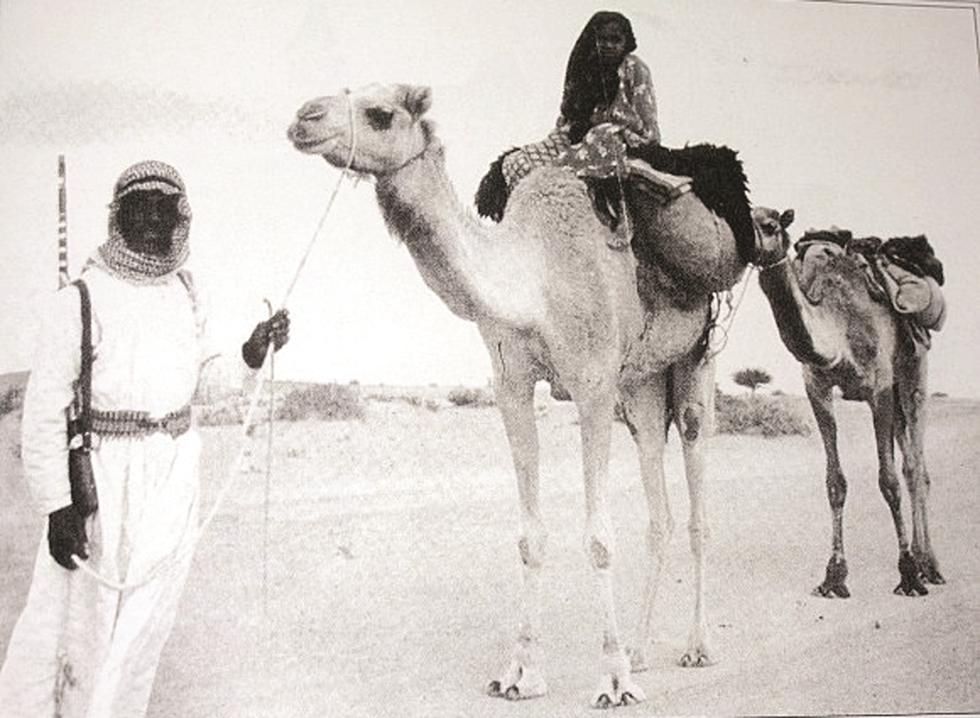 alarab