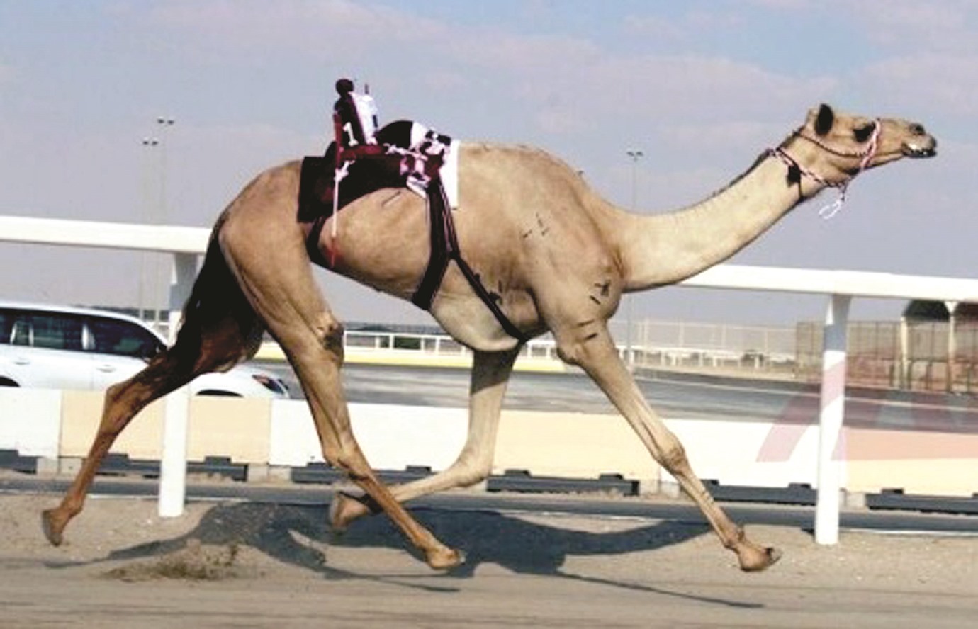 alarab