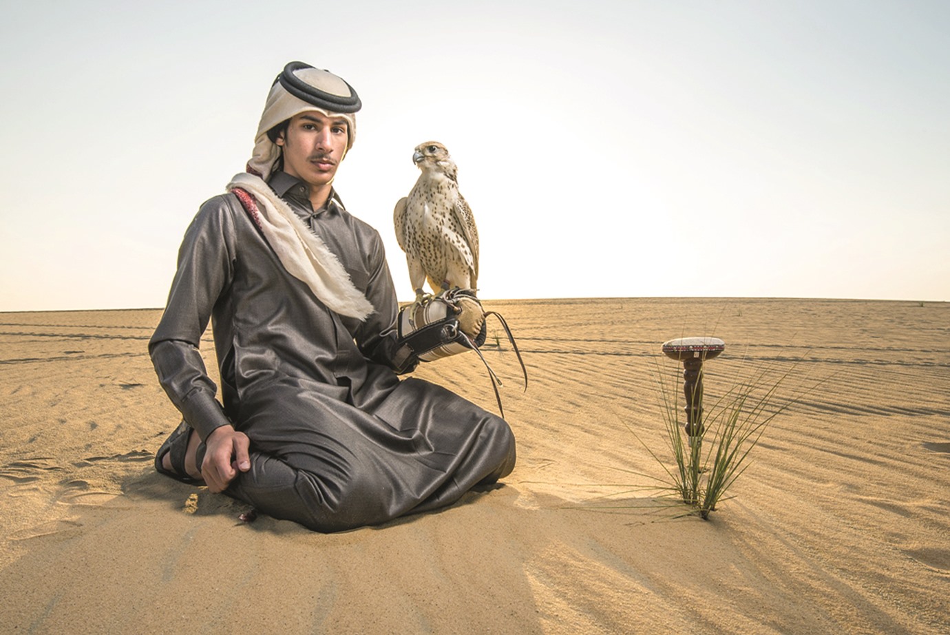 alarab