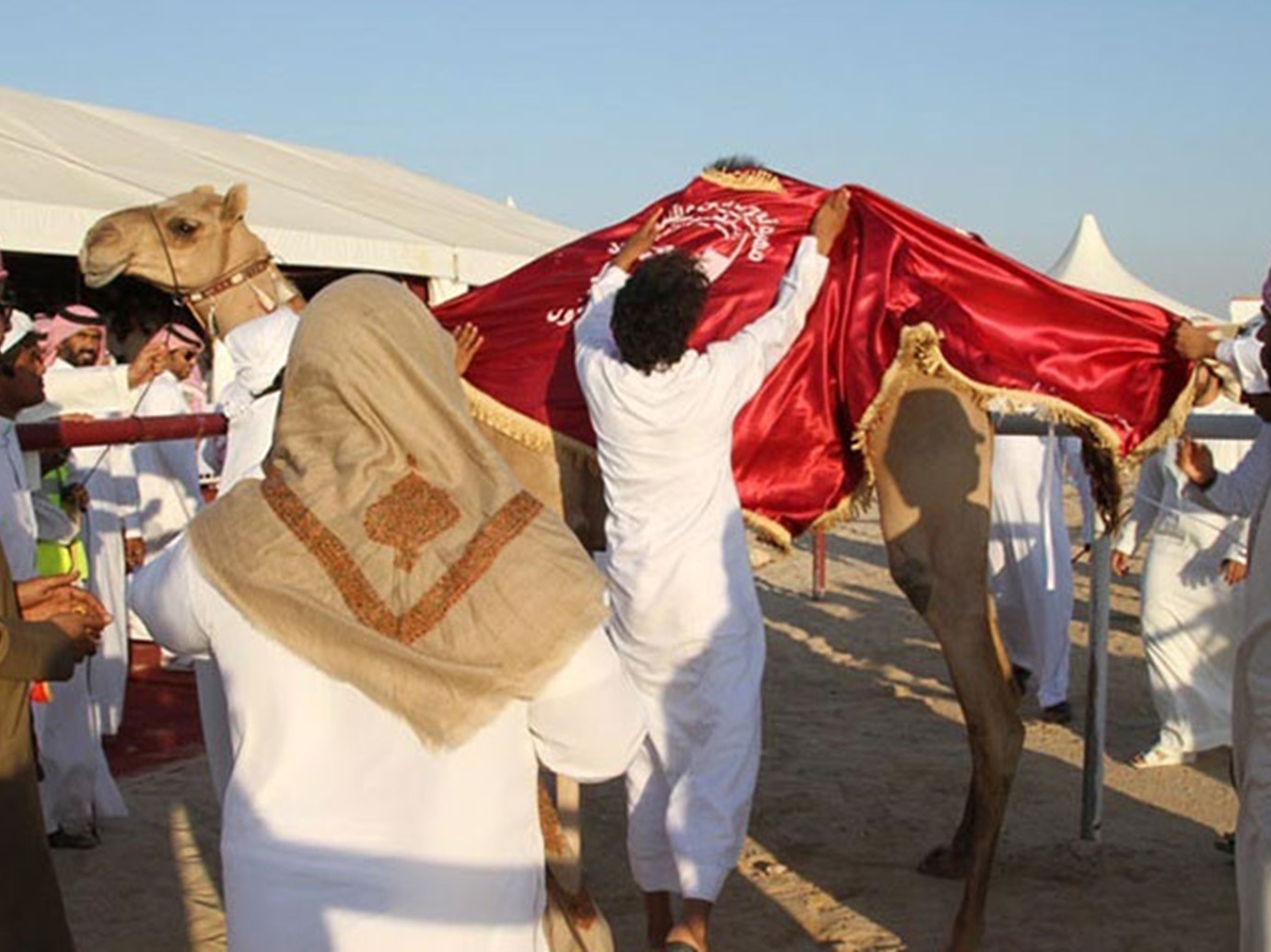 alarab