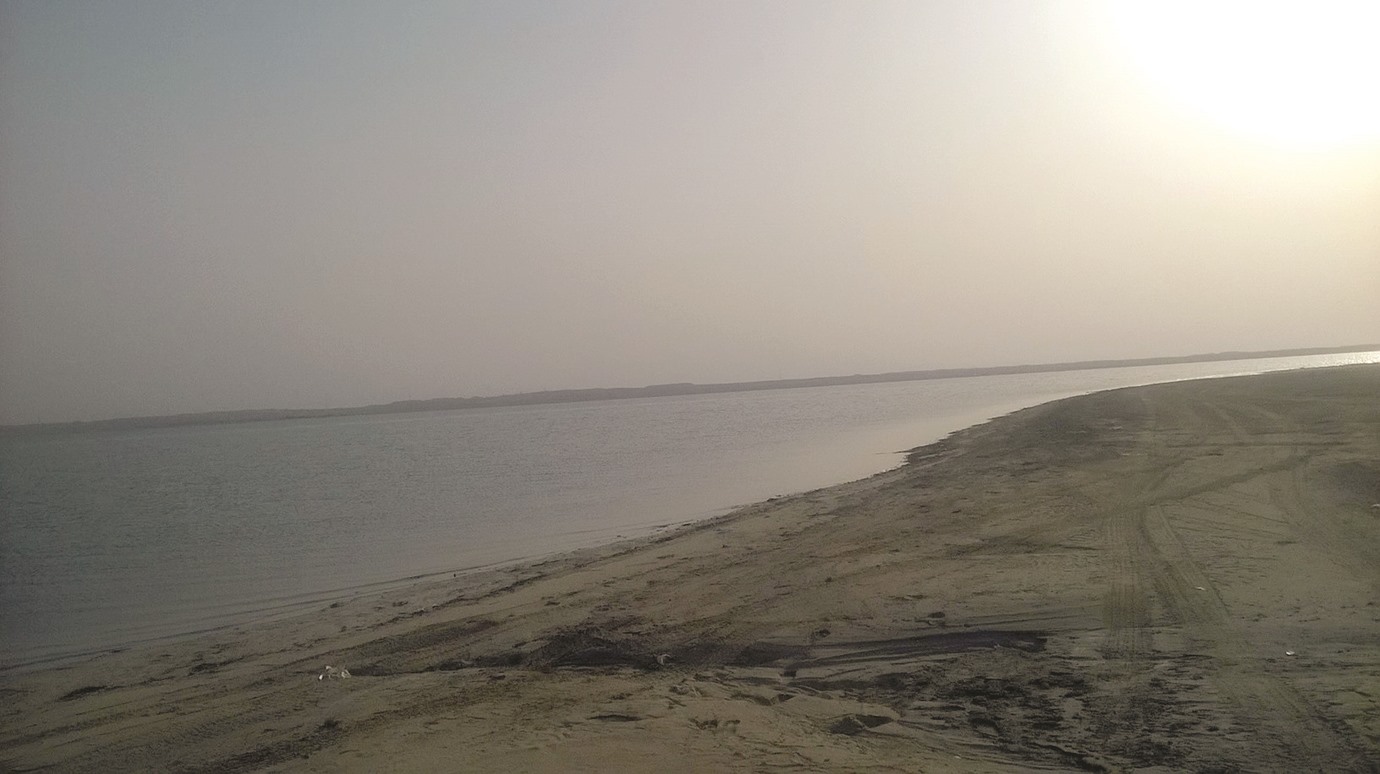 alarab