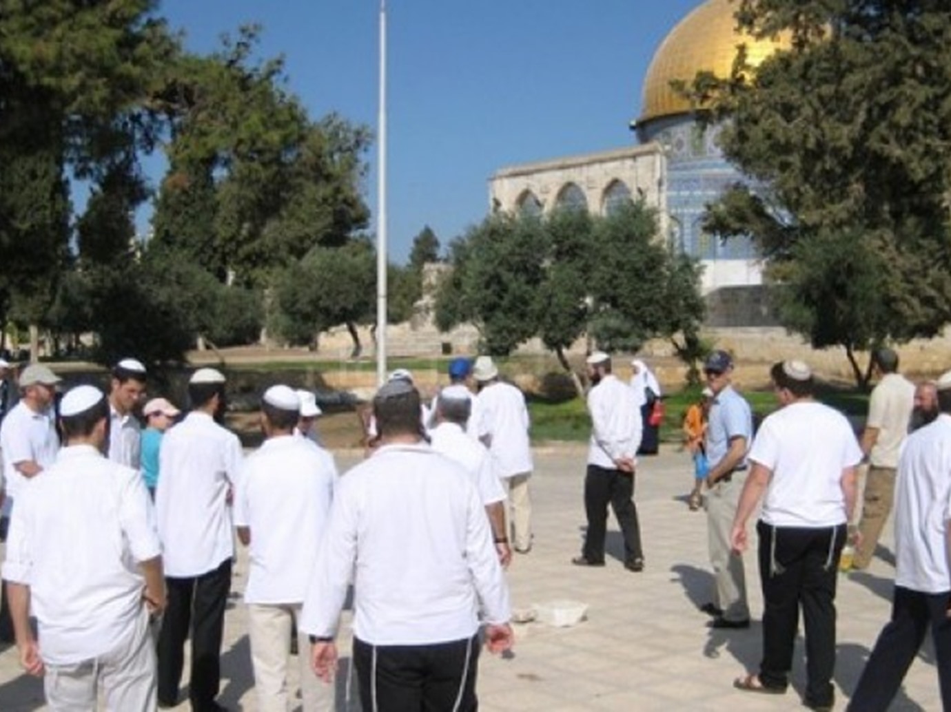alarab