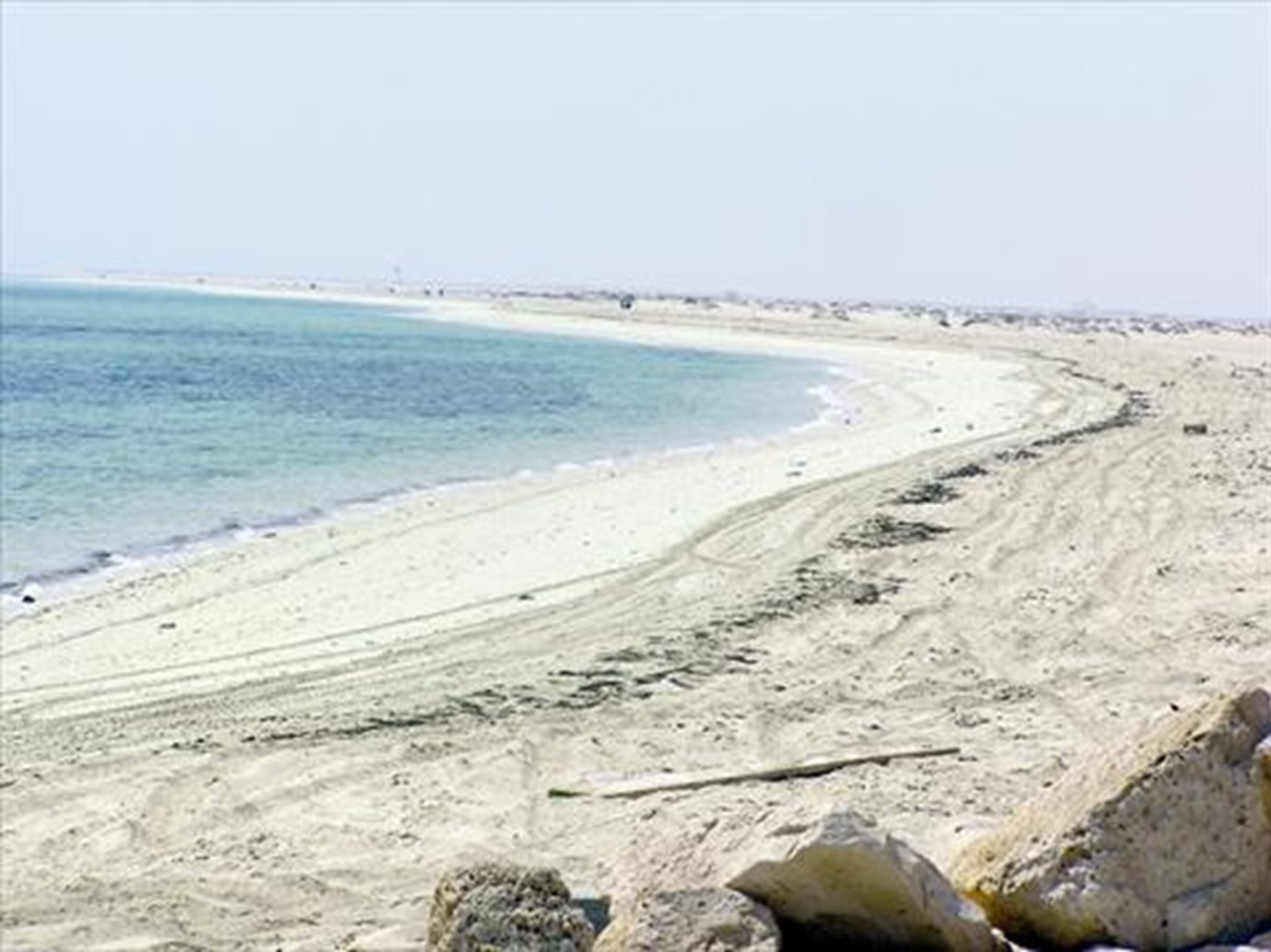 alarab