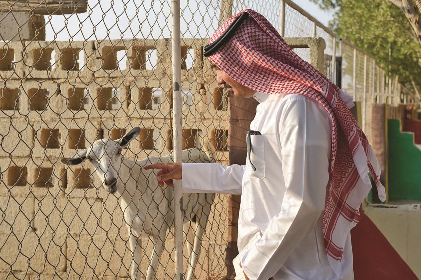 alarab