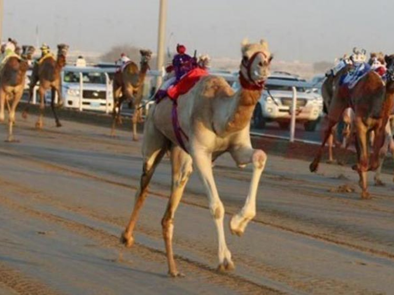 alarab