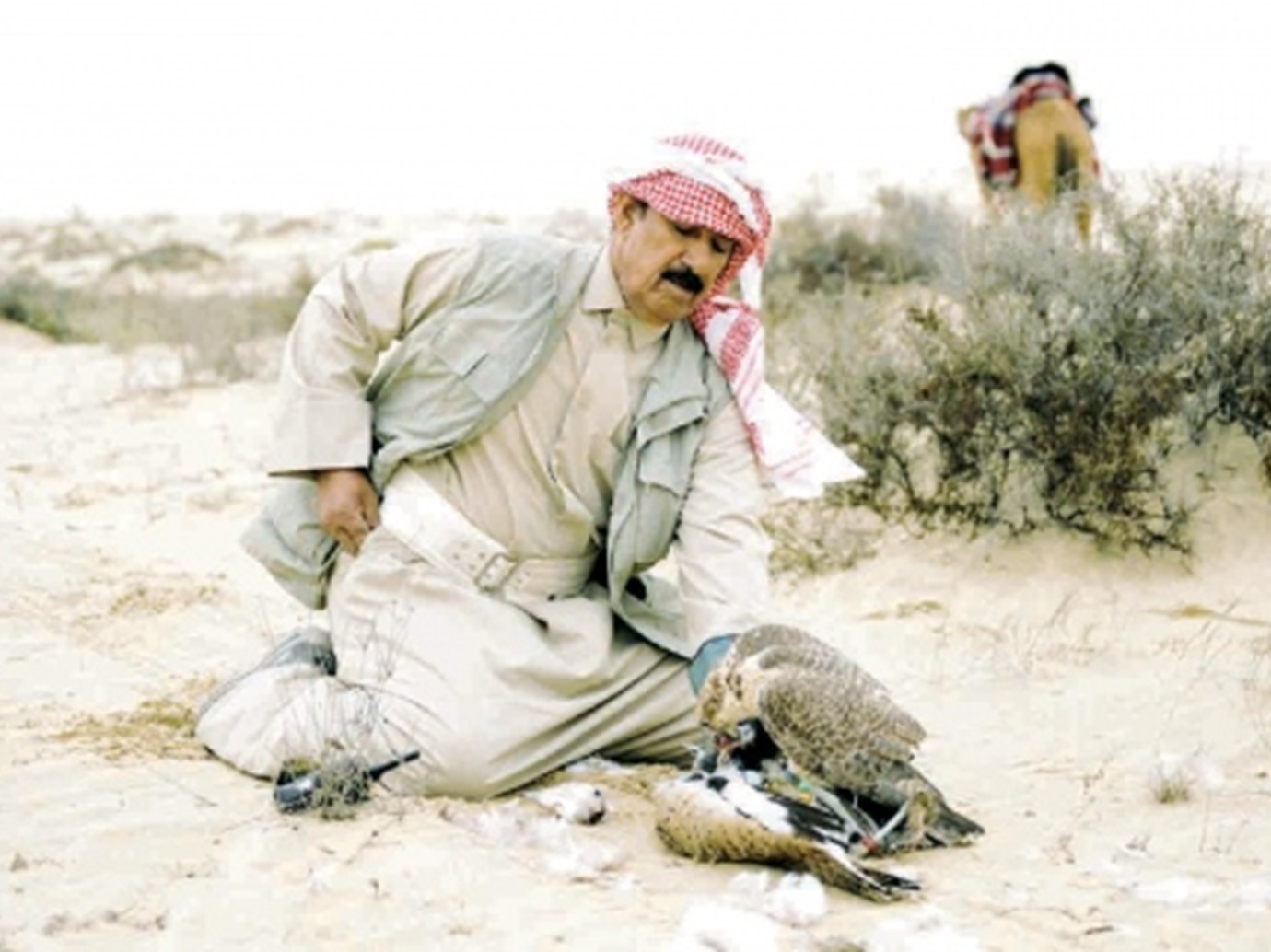 alarab