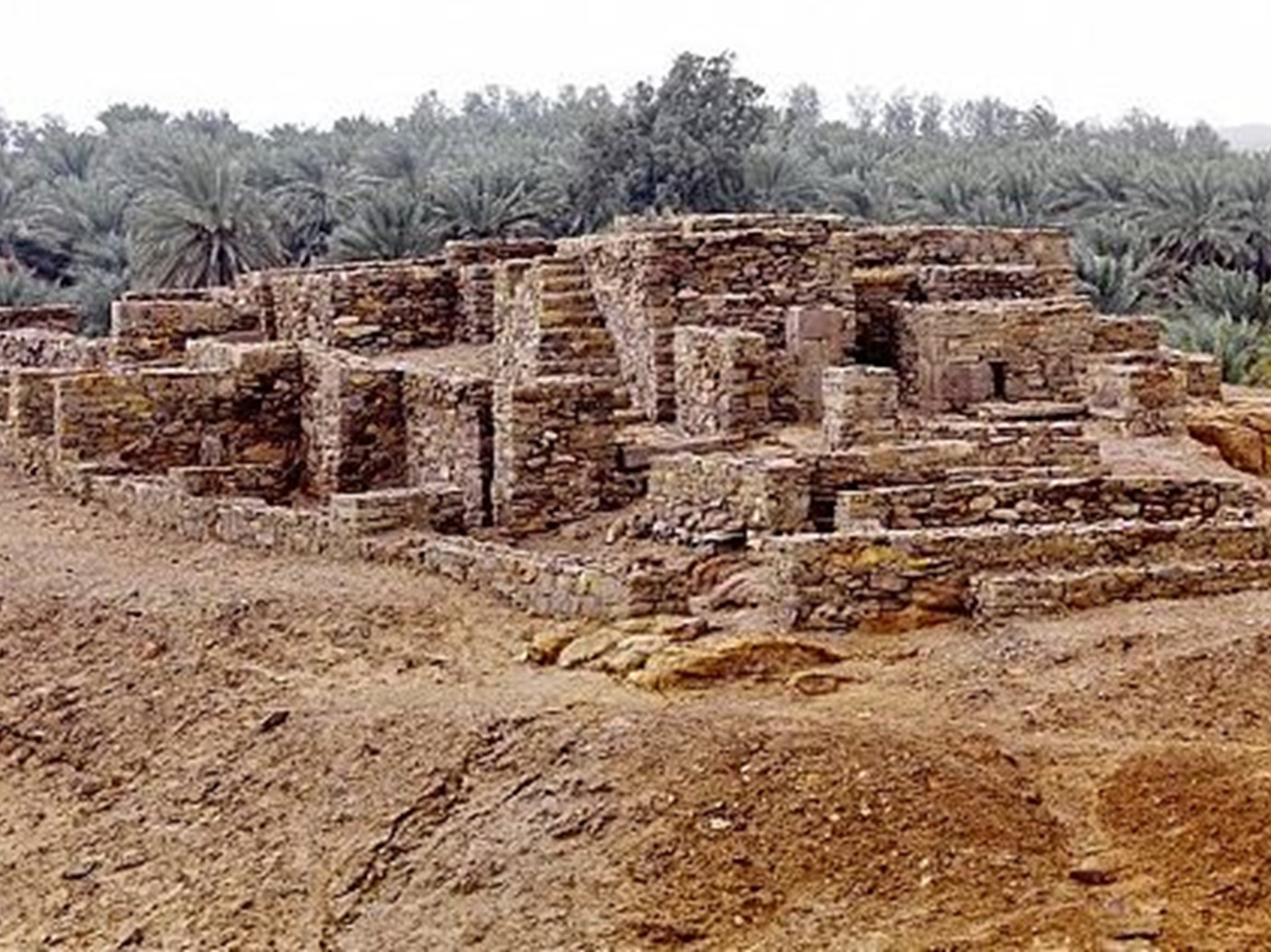 alarab