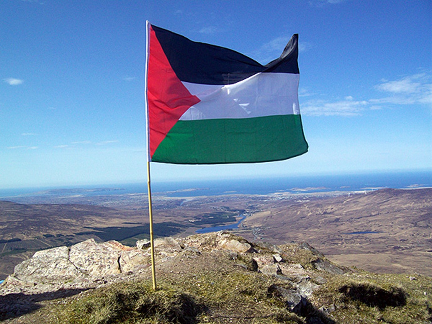 alarab