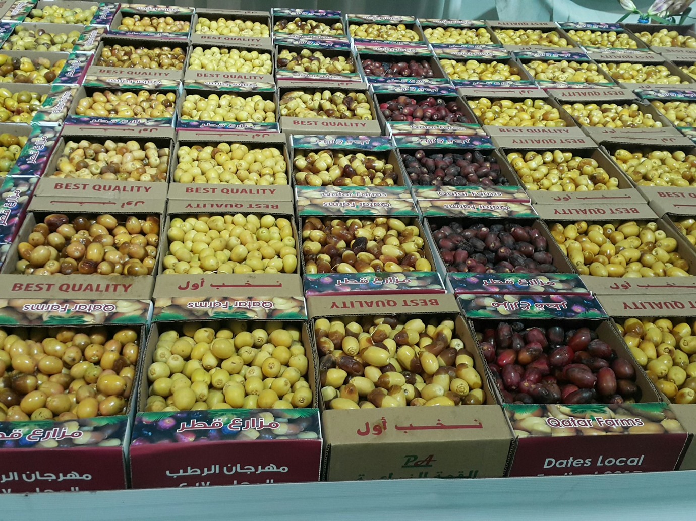 alarab