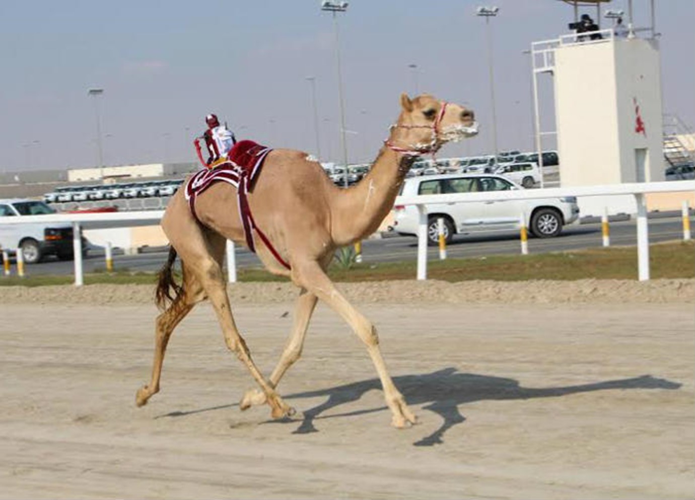 alarab