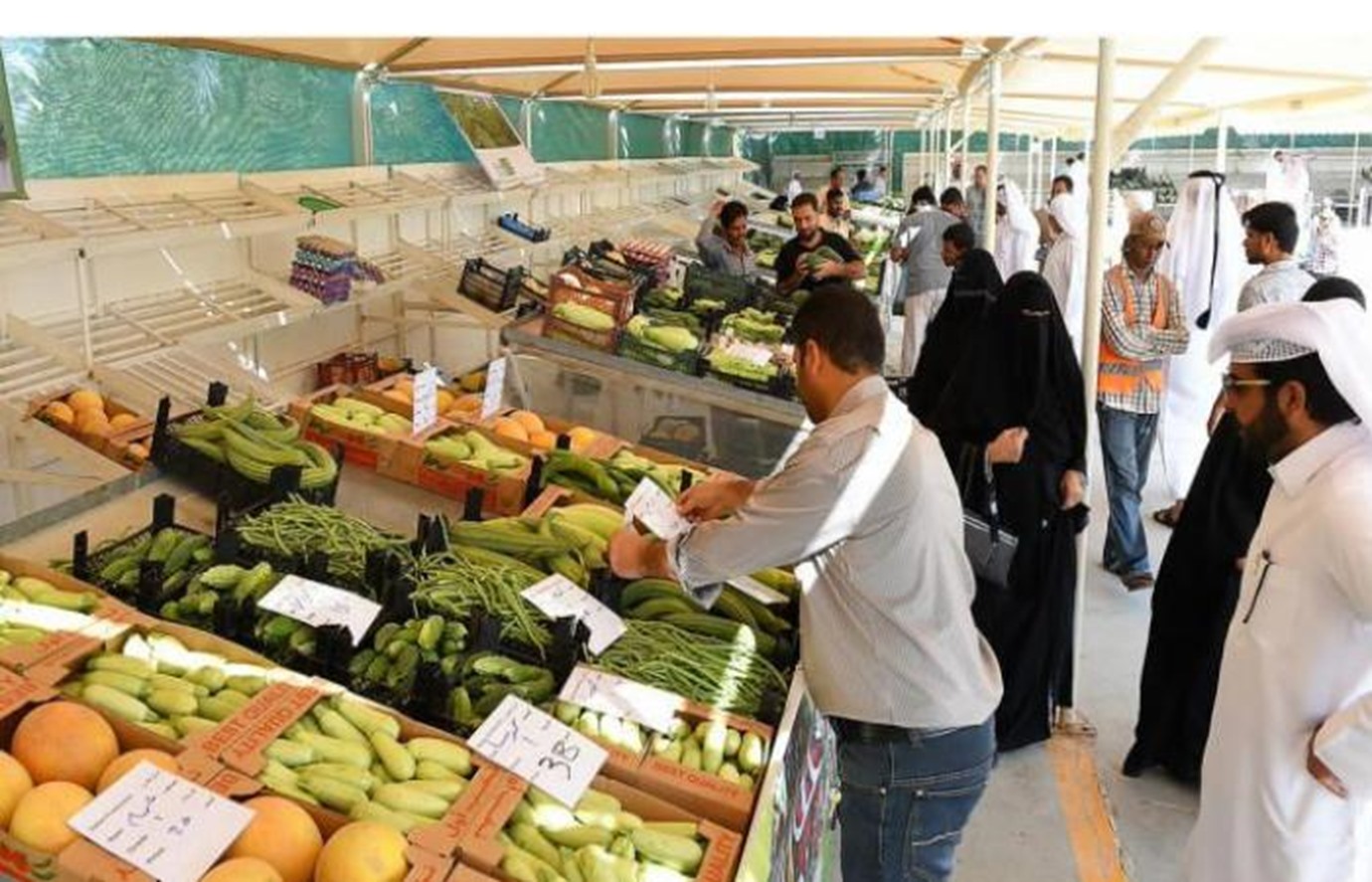 alarab