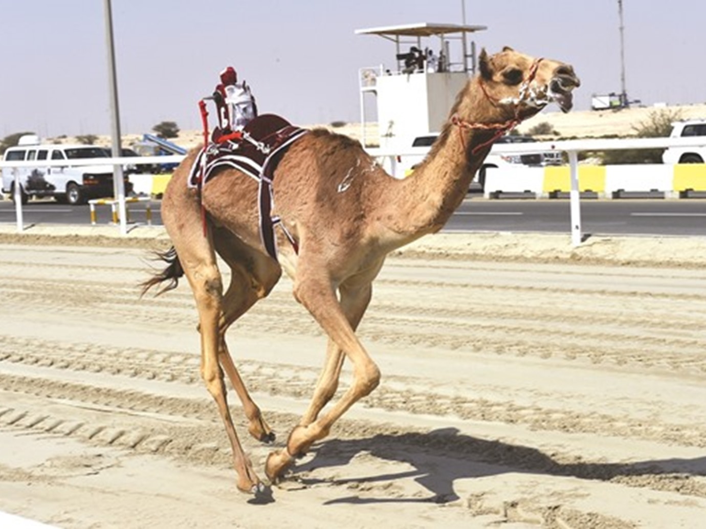 alarab