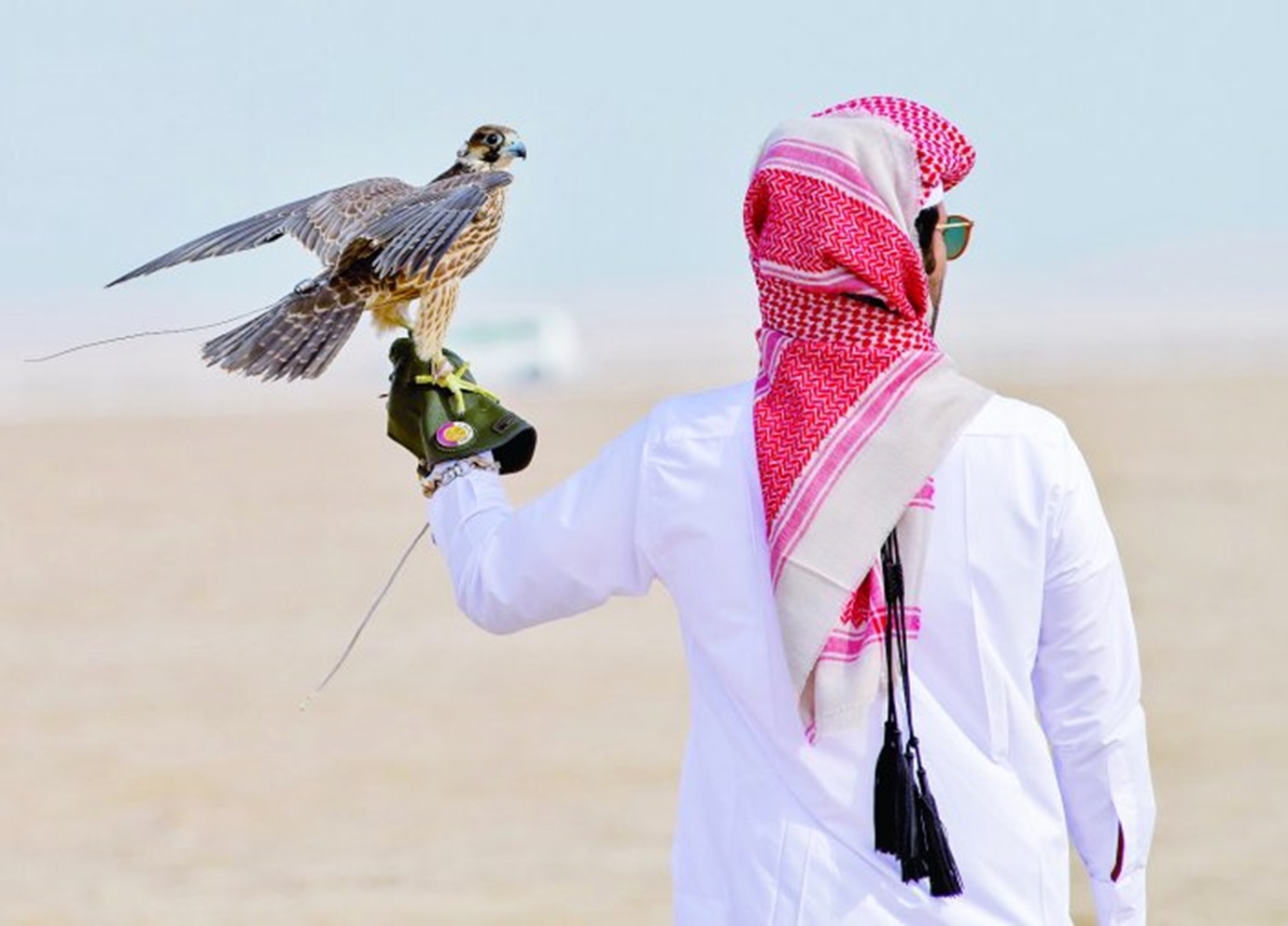alarab