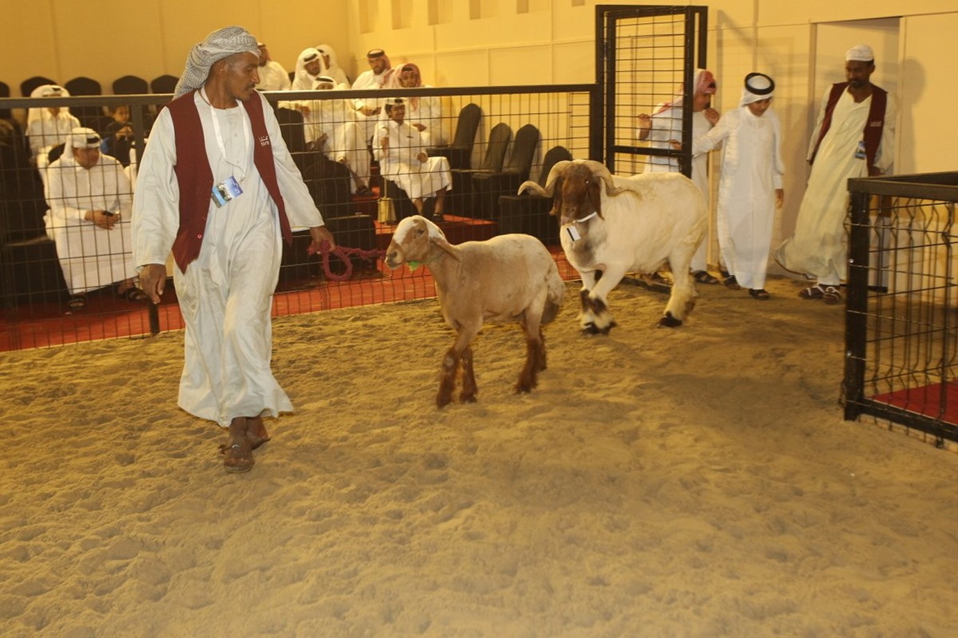 alarab