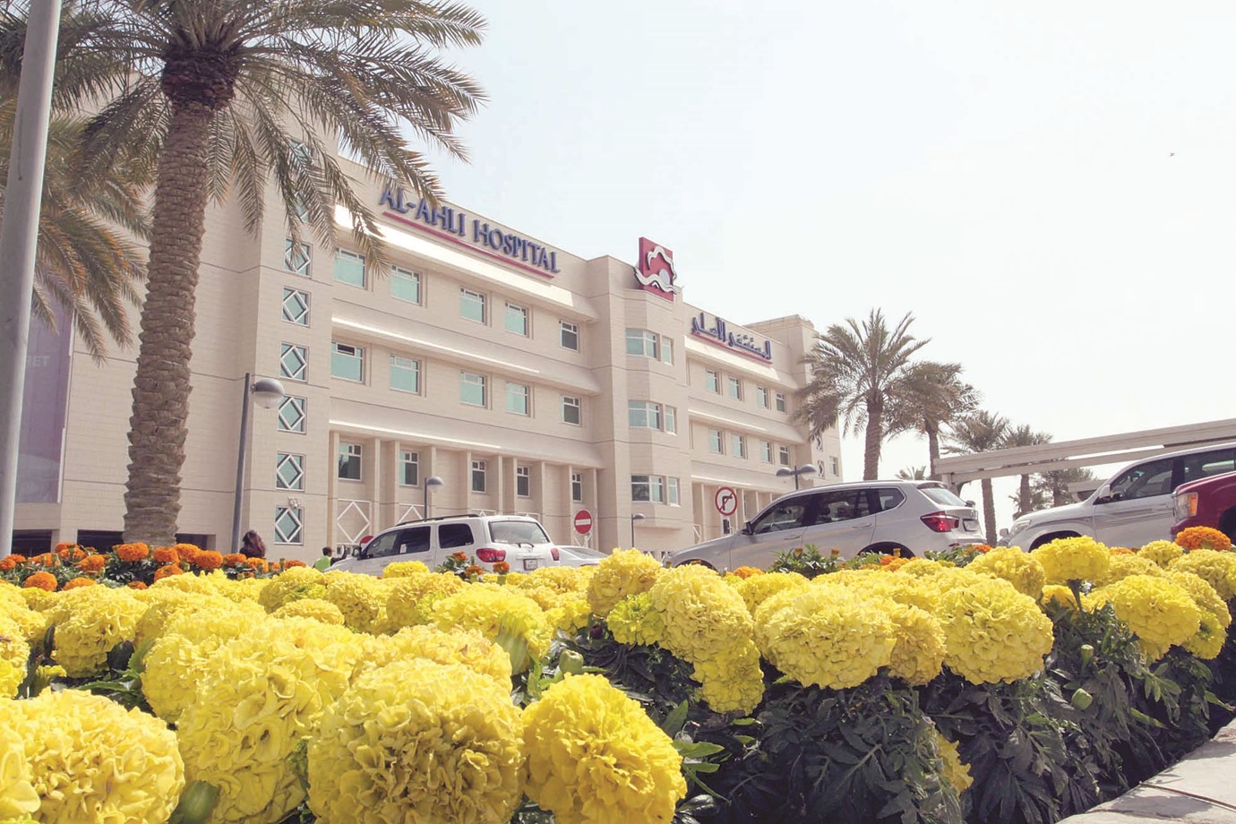 alarab
