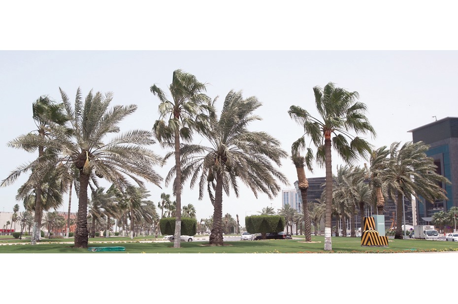 alarab