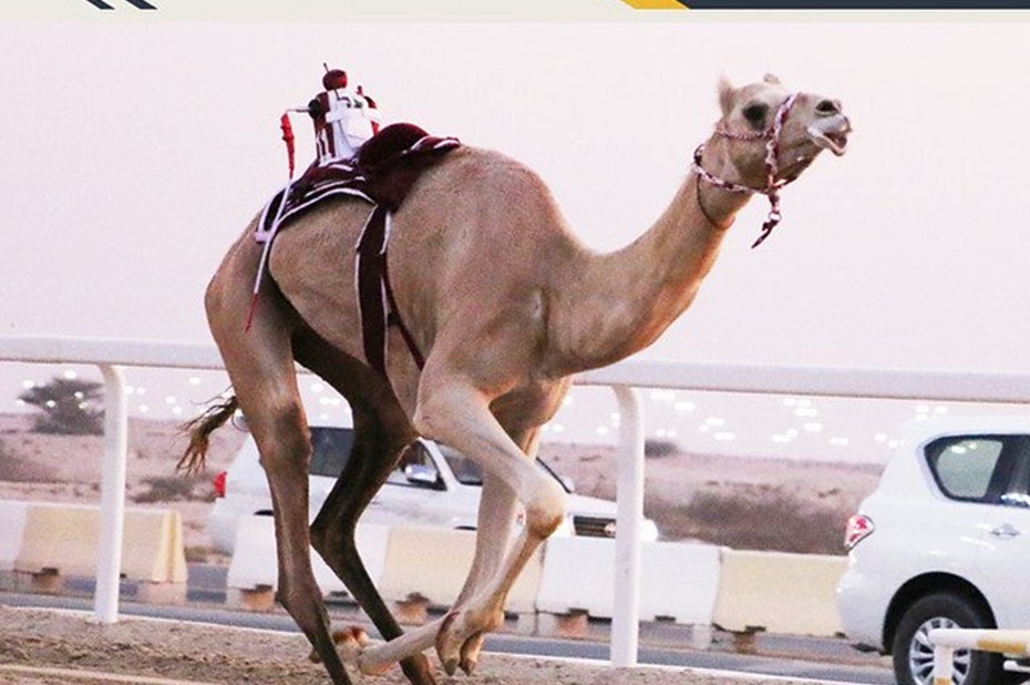 alarab