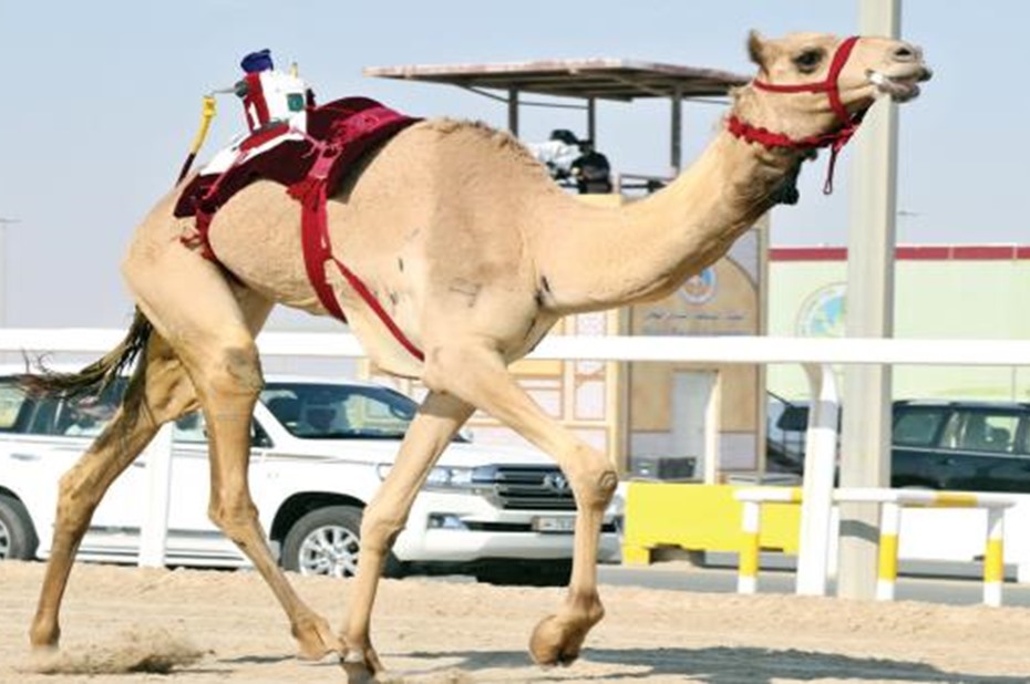 alarab