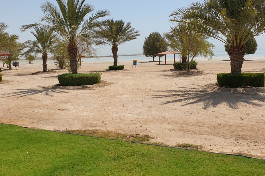 alarab