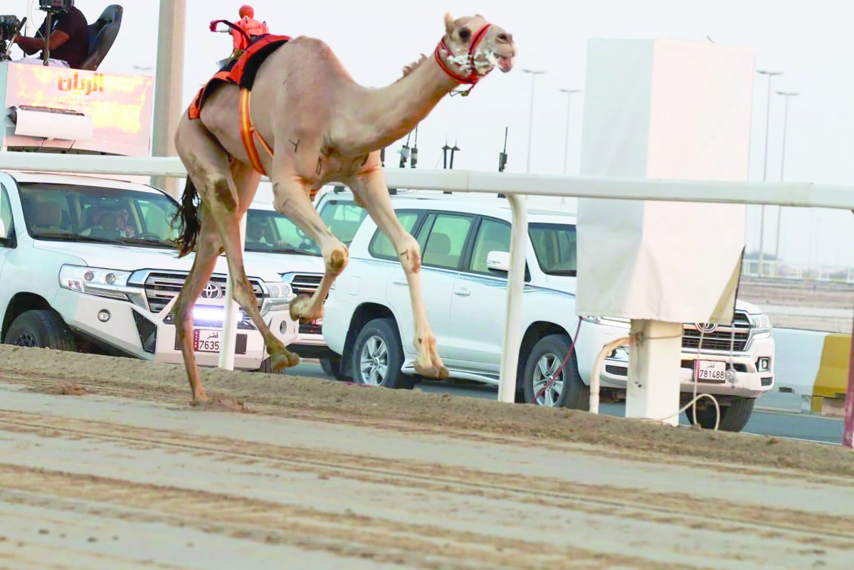 alarab