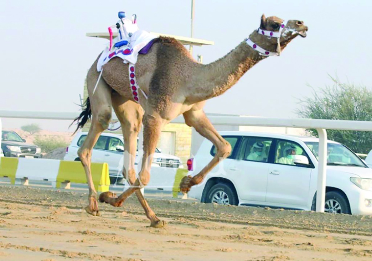 alarab