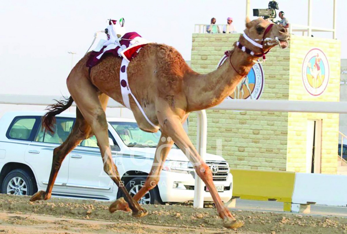 alarab