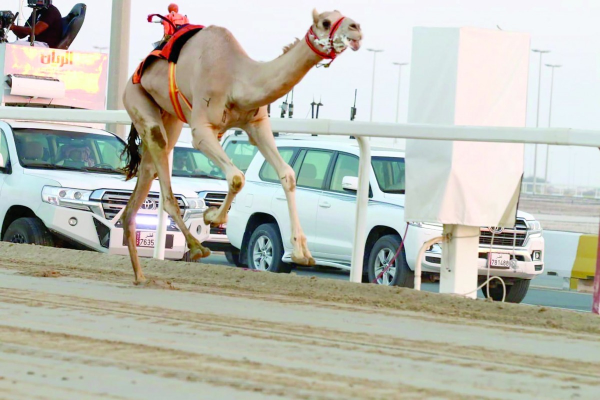 alarab