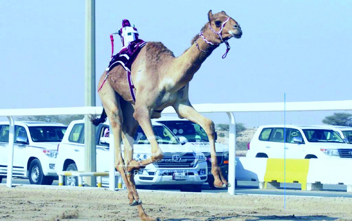 alarab