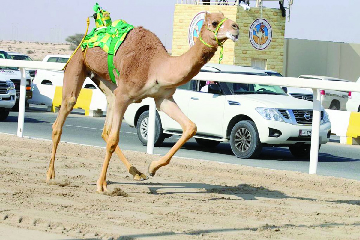 alarab