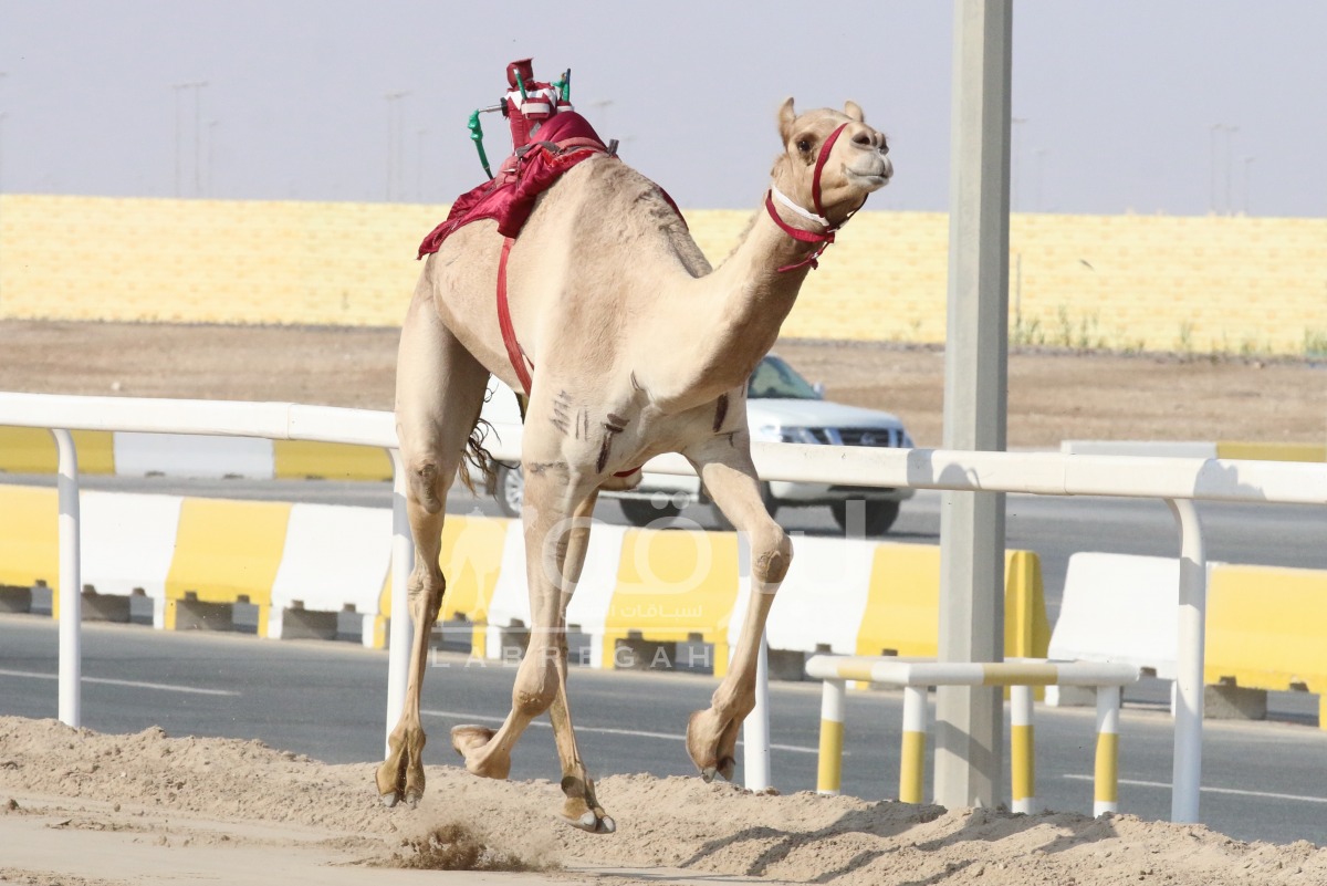 alarab