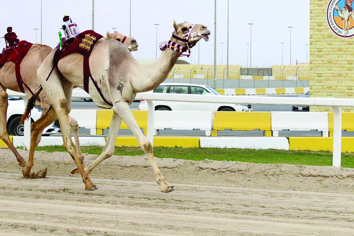 alarab