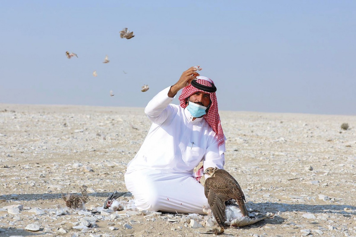 alarab