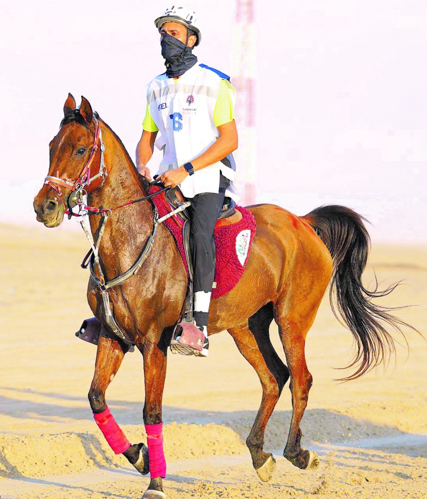 alarab