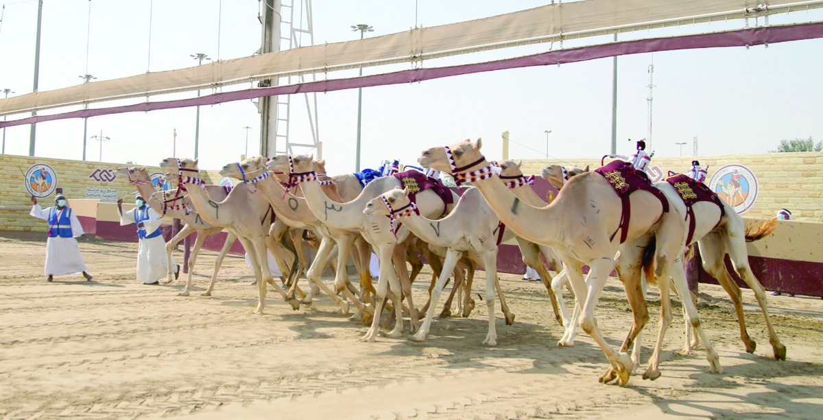 alarab